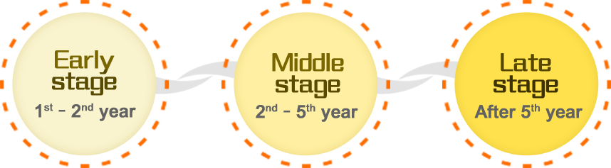 Early stage - 1st to 2nd year，Middle stage 2nd to 5th year，Late stage after 5th year